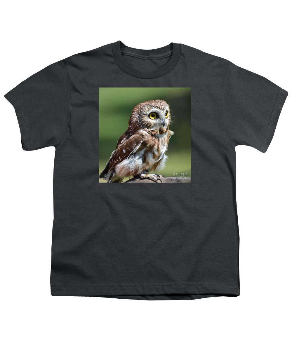 Owl Youth T-Shirt featuring the photograph Northern Saw Whet Owl by Amy Porter