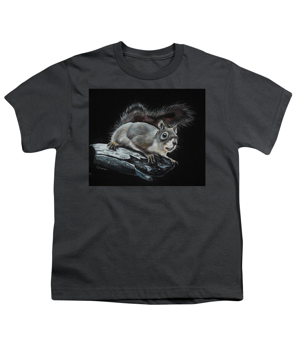 Squirrel Youth T-Shirt featuring the drawing Oh Nuts by Jean Cormier