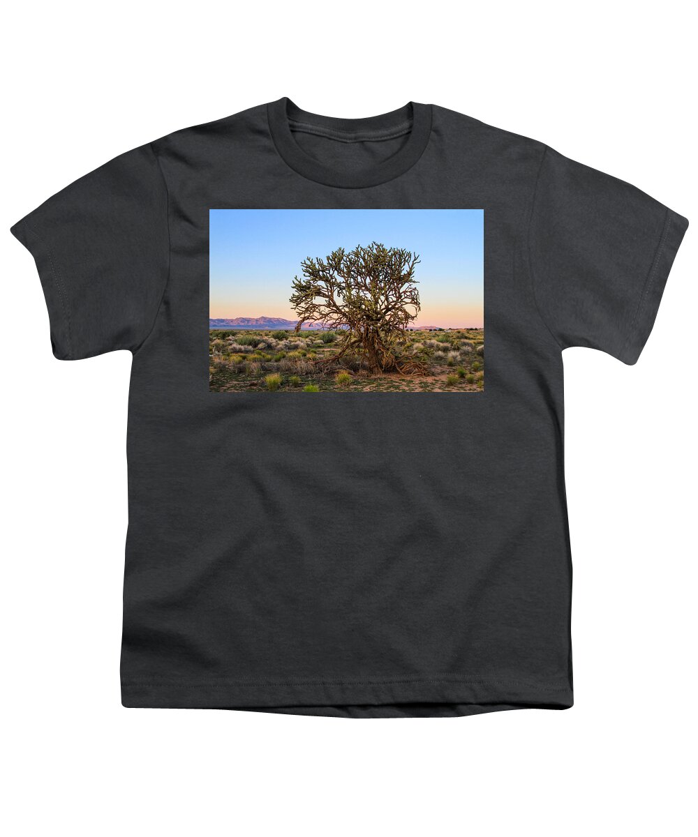 Bonnie Follett Youth T-Shirt featuring the photograph Old Growth Cholla Cactus view 2 by Bonnie Follett