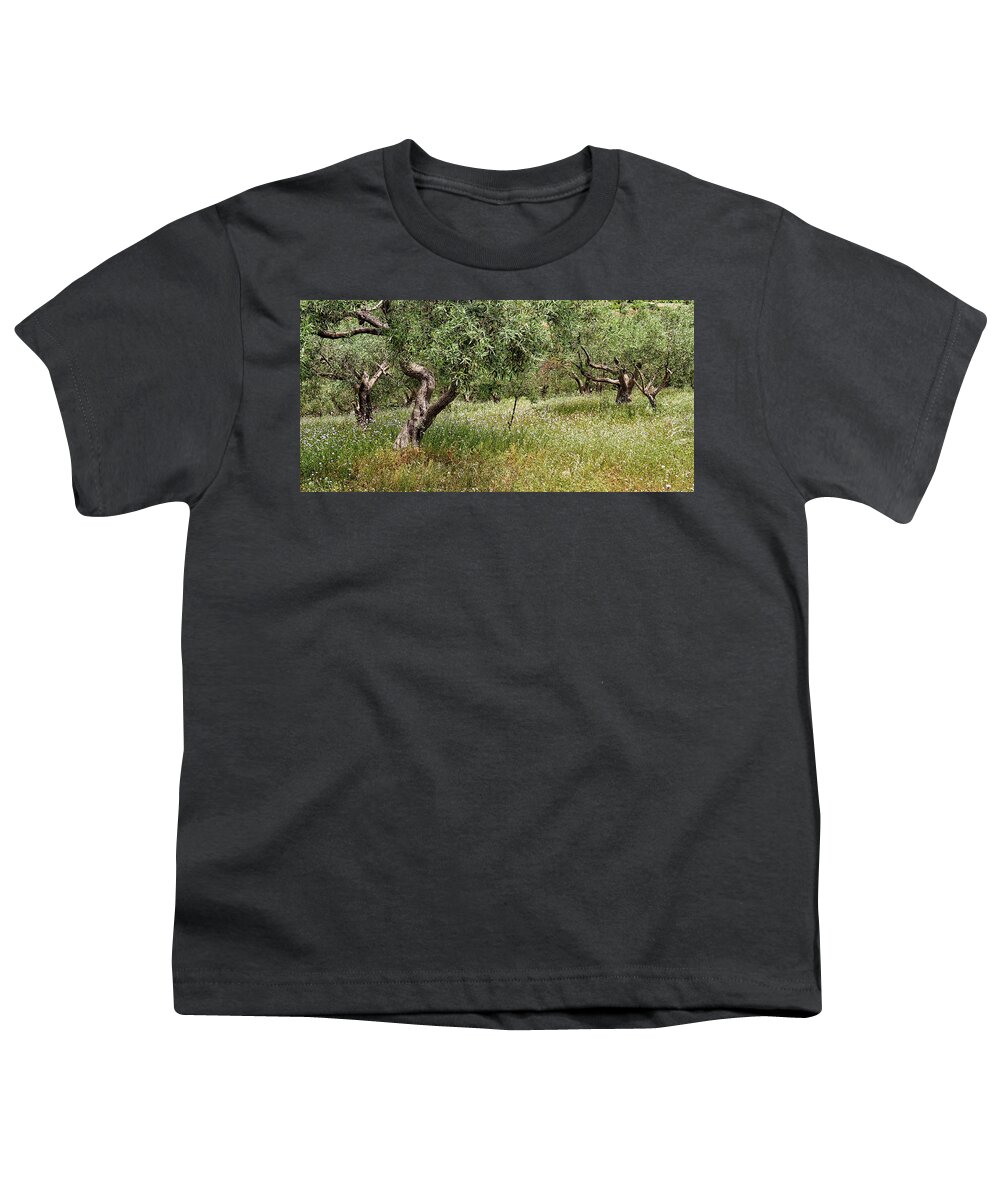 Olive Youth T-Shirt featuring the photograph Olive groves by Shirley Mitchell
