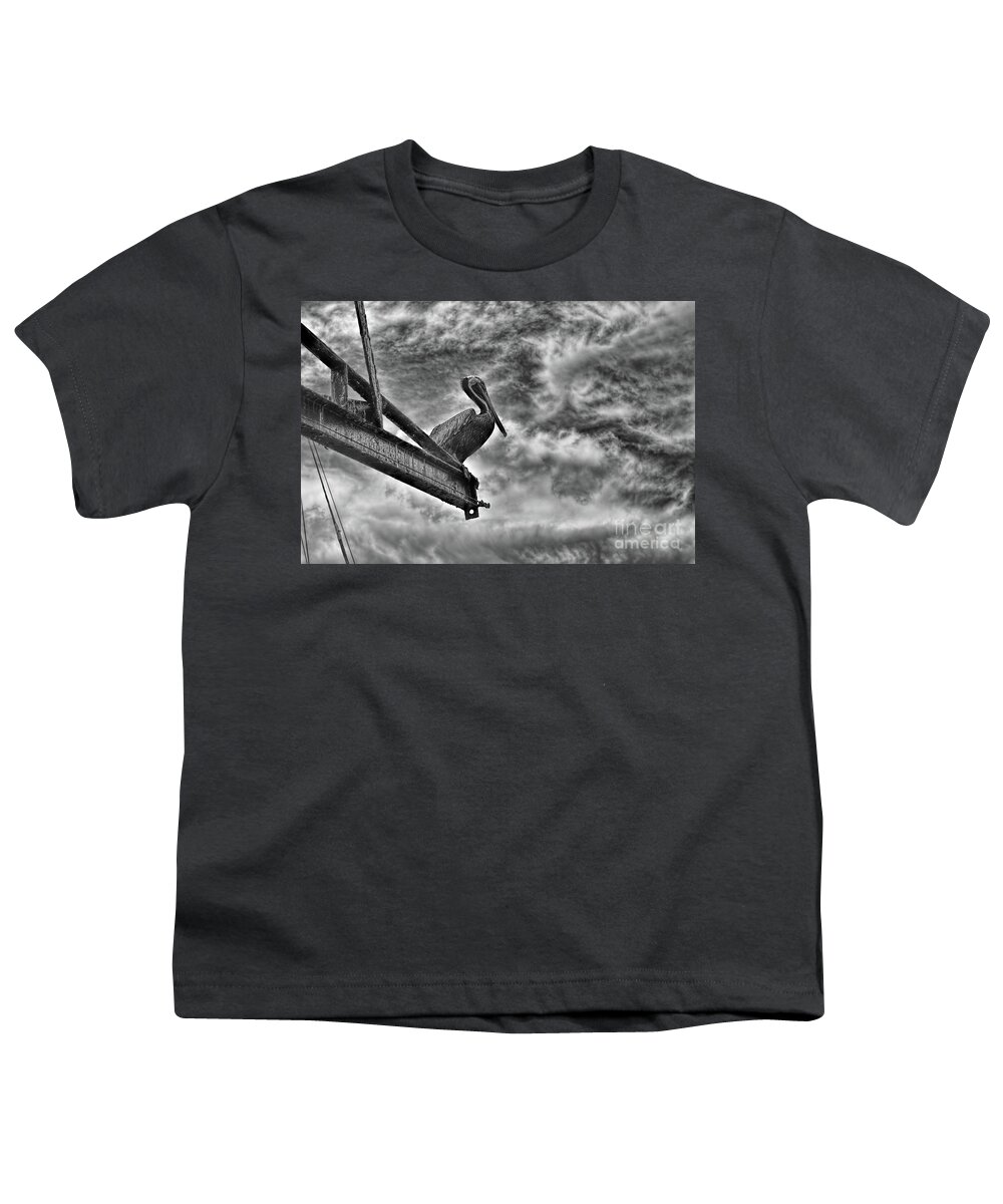 Pelican Youth T-Shirt featuring the photograph On The Eve Of A Storm by Olga Hamilton