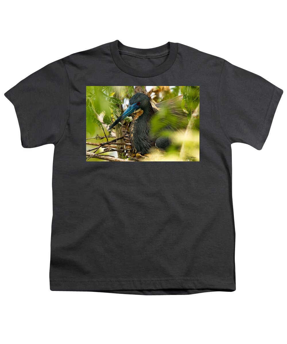 Tri-color Heron Youth T-Shirt featuring the photograph On The Nest by Christopher Holmes