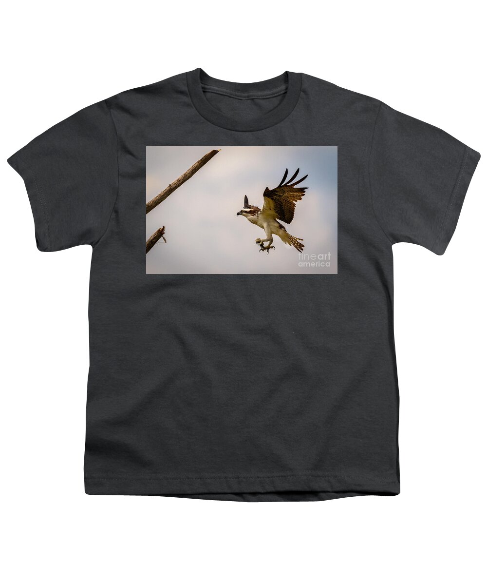 Osprey Youth T-Shirt featuring the photograph Osprey Landing by Les Greenwood