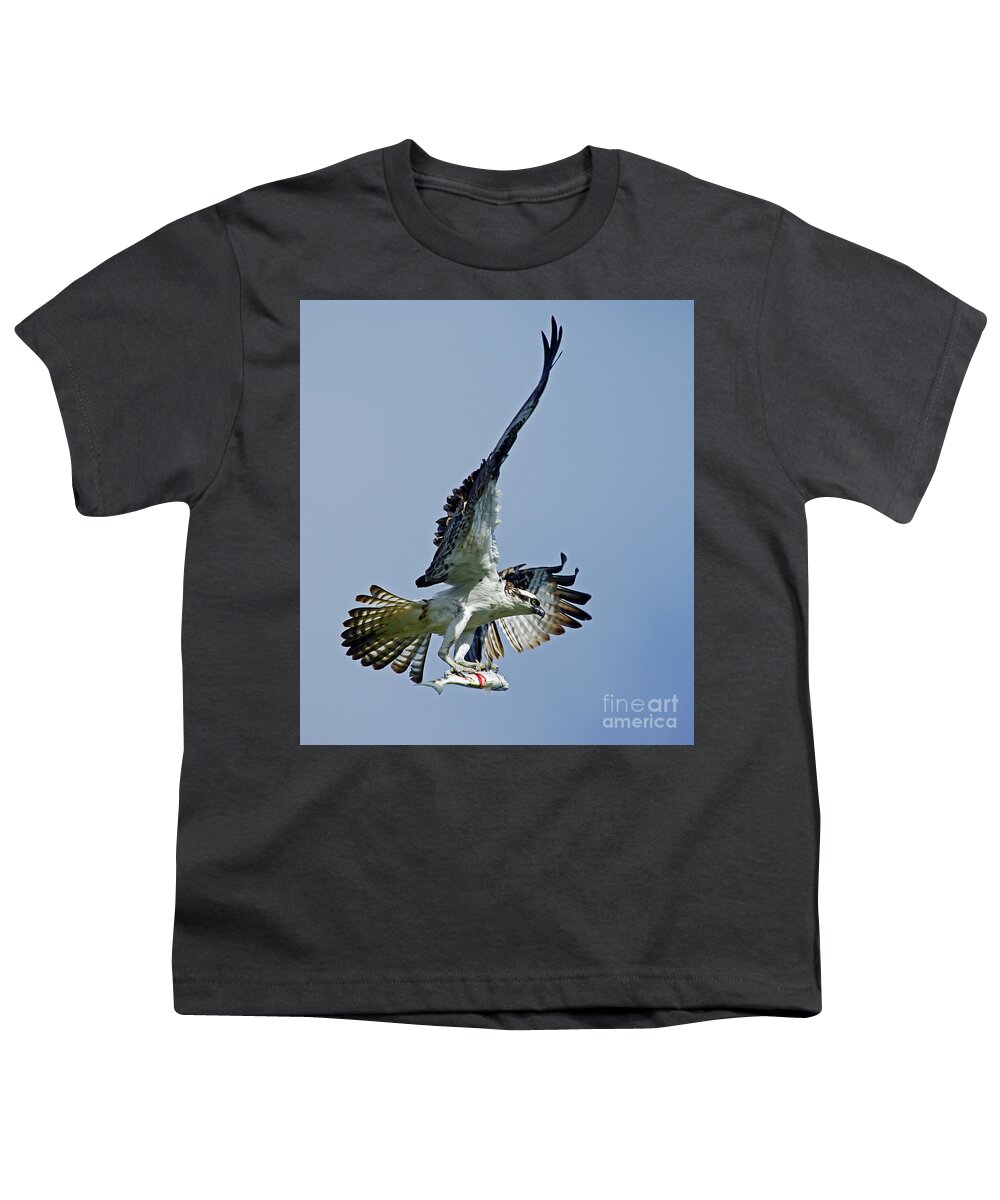 Bird Youth T-Shirt featuring the photograph Osprey Success by Larry Nieland