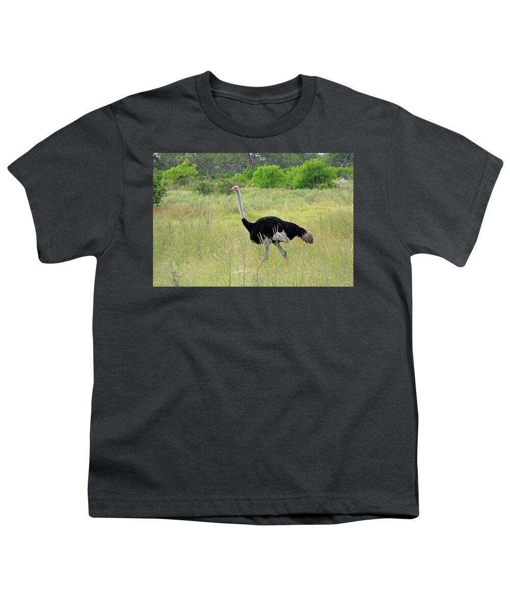 Ostrich Youth T-Shirt featuring the photograph Ostrich by Richard Krebs