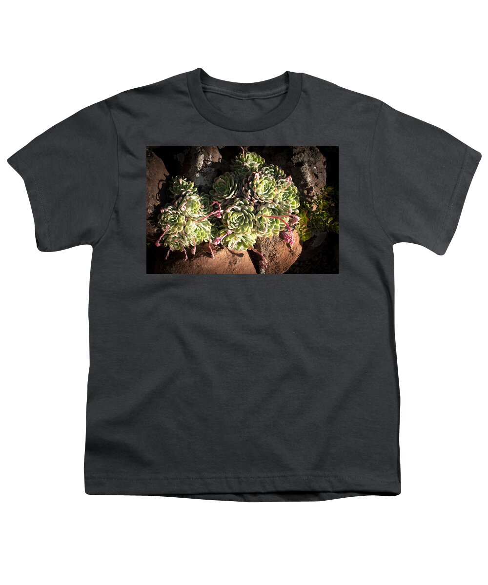 Succulents Youth T-Shirt featuring the photograph Out Door Succulents by Catherine Lau