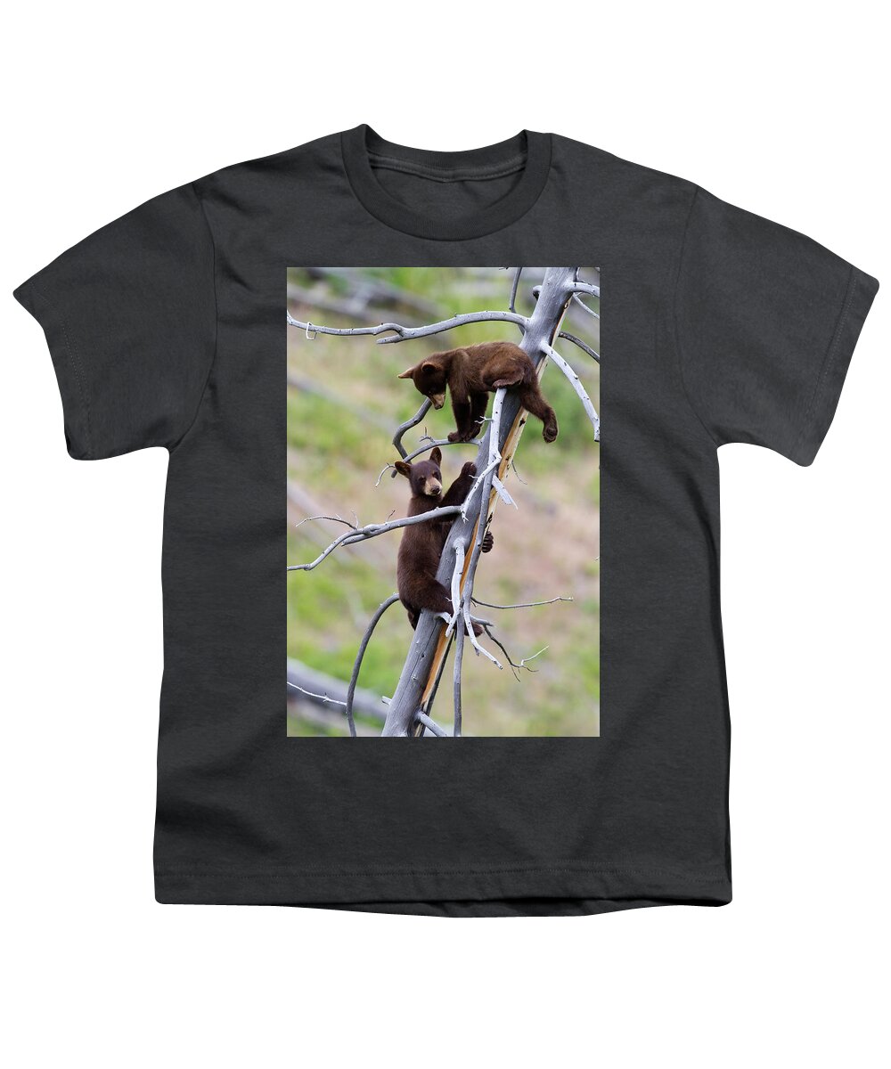 Bear Youth T-Shirt featuring the photograph Pair of Bear Cubs in a Tree by Mark Miller