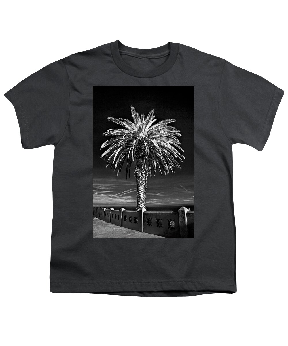 Tree Youth T-Shirt featuring the photograph Palm Tree at Point Fermin in Los Angeles California in Black and White Infrared by Randall Nyhof