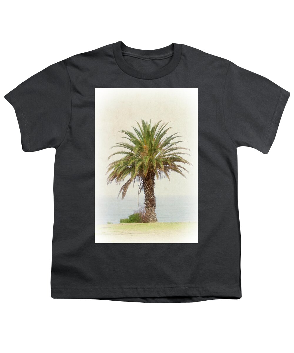Palm Tree Youth T-Shirt featuring the photograph Palm Tree in Coastal California in a Retro Style by Anthony Murphy