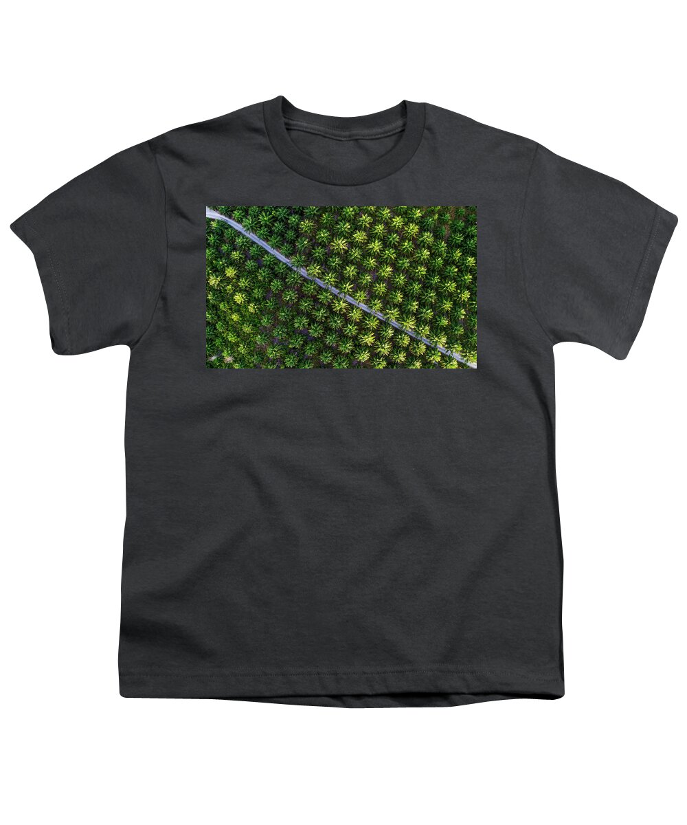 Clouds Reflections And Open Jetty In Sabah Youth T-Shirt featuring the photograph Palm tree plantation pattern from above by Pradeep Raja PRINTS