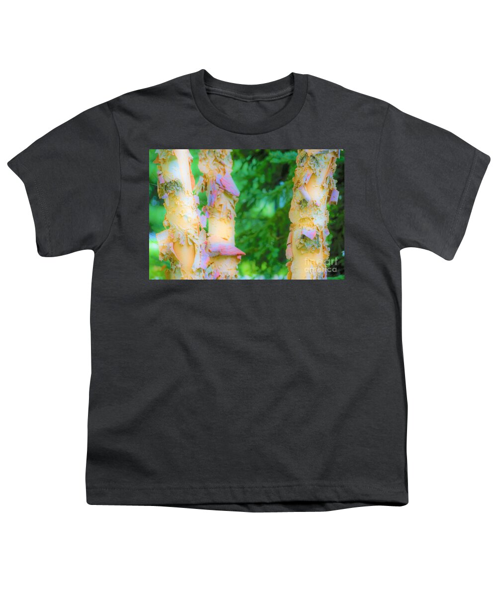 Trees Youth T-Shirt featuring the photograph Paper thin Bark by Merle Grenz
