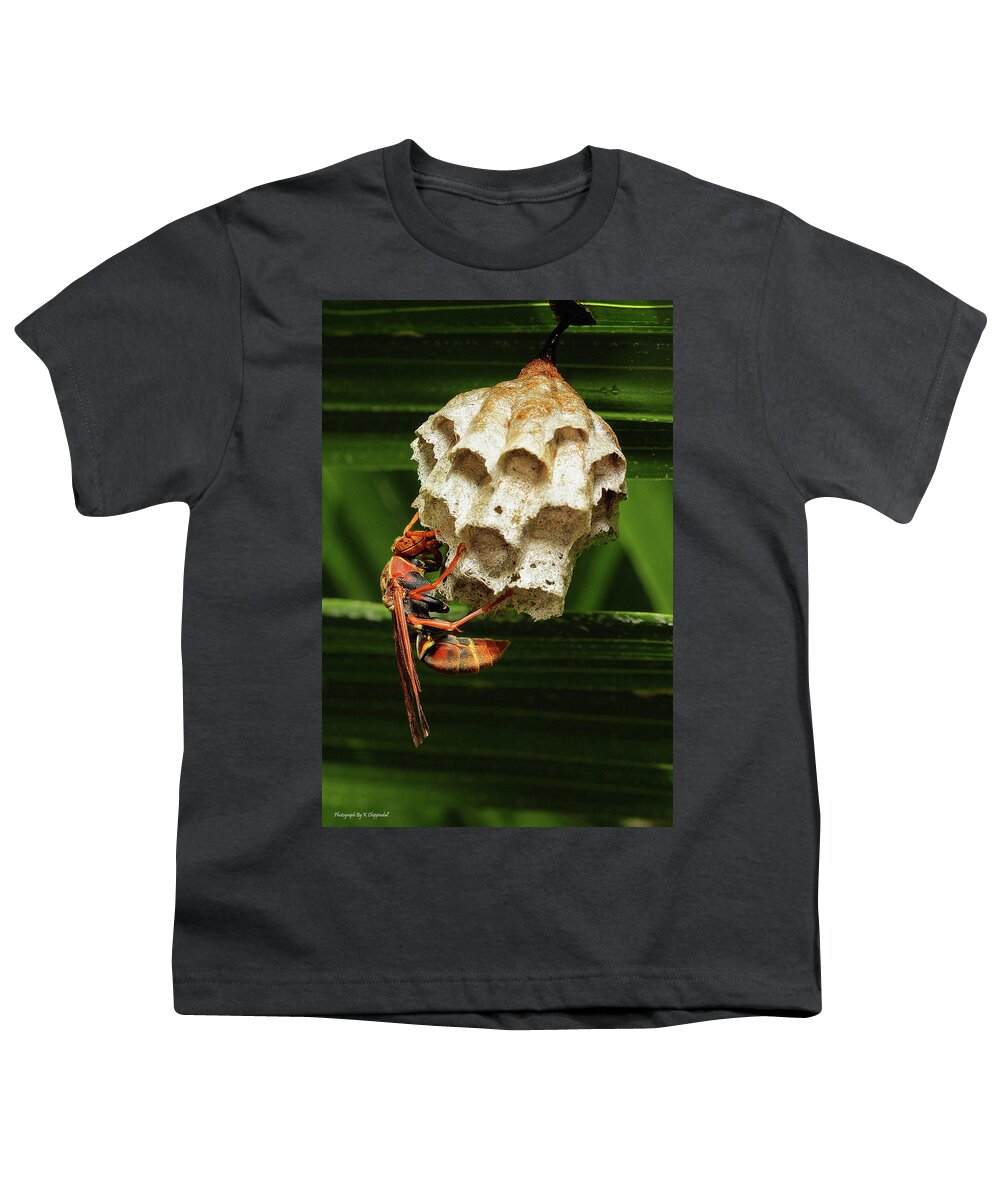 Paper Wasps Youth T-Shirt featuring the photograph Paper wasps 00666 by Kevin Chippindall