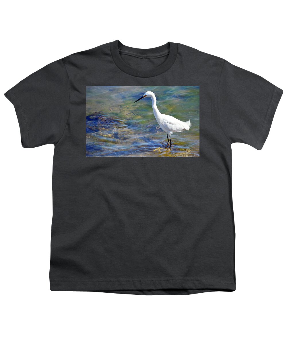 Birds Youth T-Shirt featuring the photograph Patient Egret by AJ Schibig