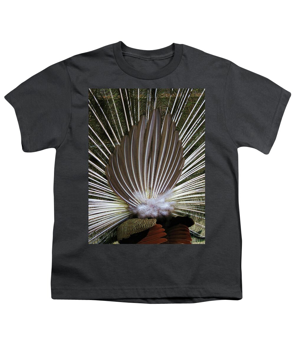 Peacock Youth T-Shirt featuring the photograph Peacock Back Fan by Helaine Cummins