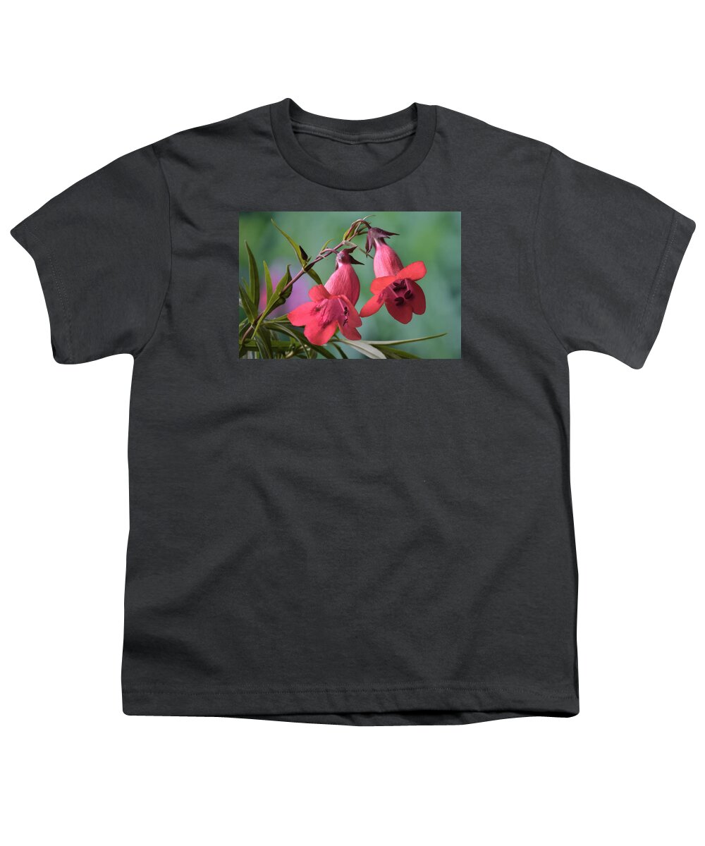 Penstemon Youth T-Shirt featuring the photograph Penstemon by Terence Davis