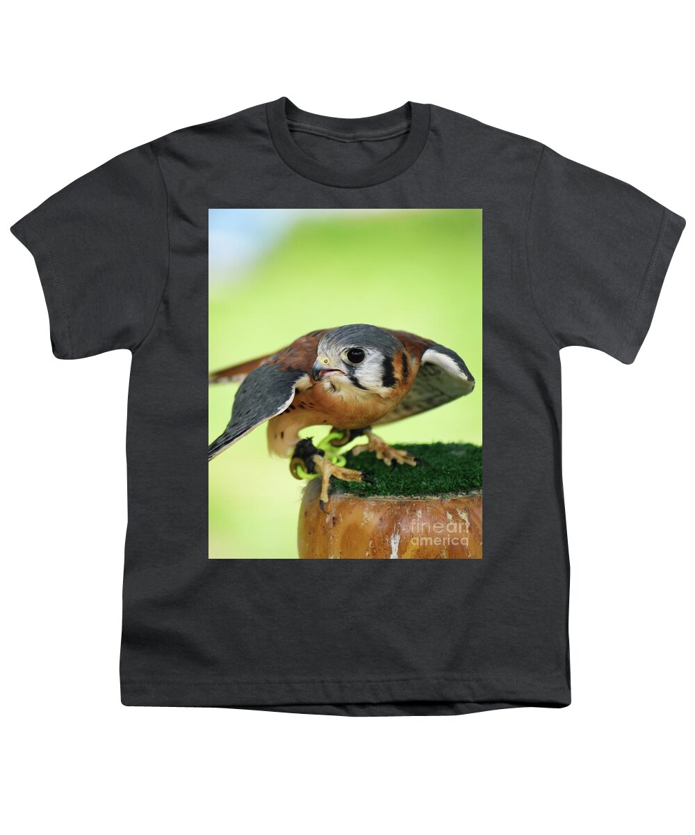 American Kestrel Youth T-Shirt featuring the photograph Perched Kestrel by Kathy Kelly