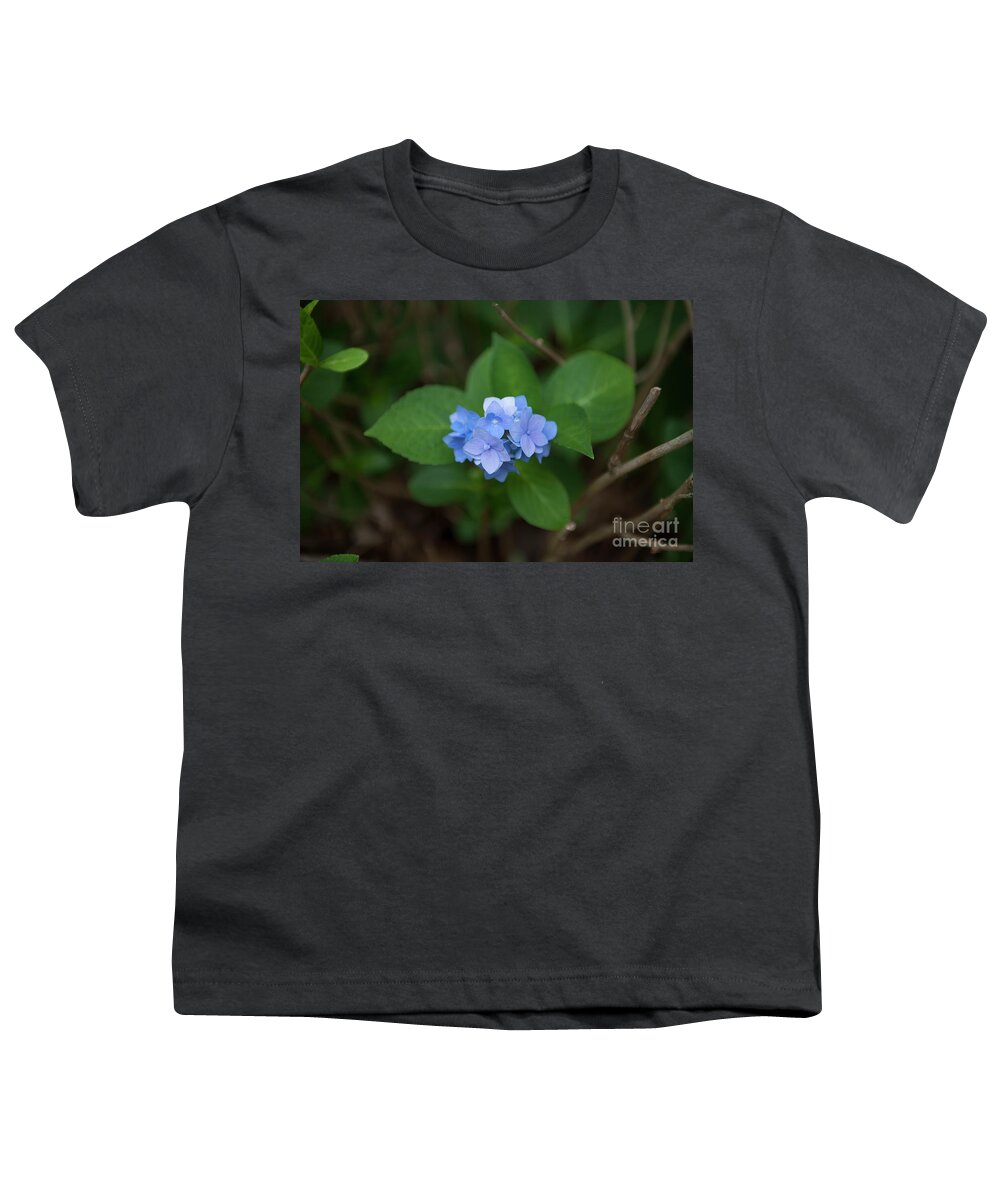 Hydrangea Youth T-Shirt featuring the photograph Petals and Thorns by Dale Powell