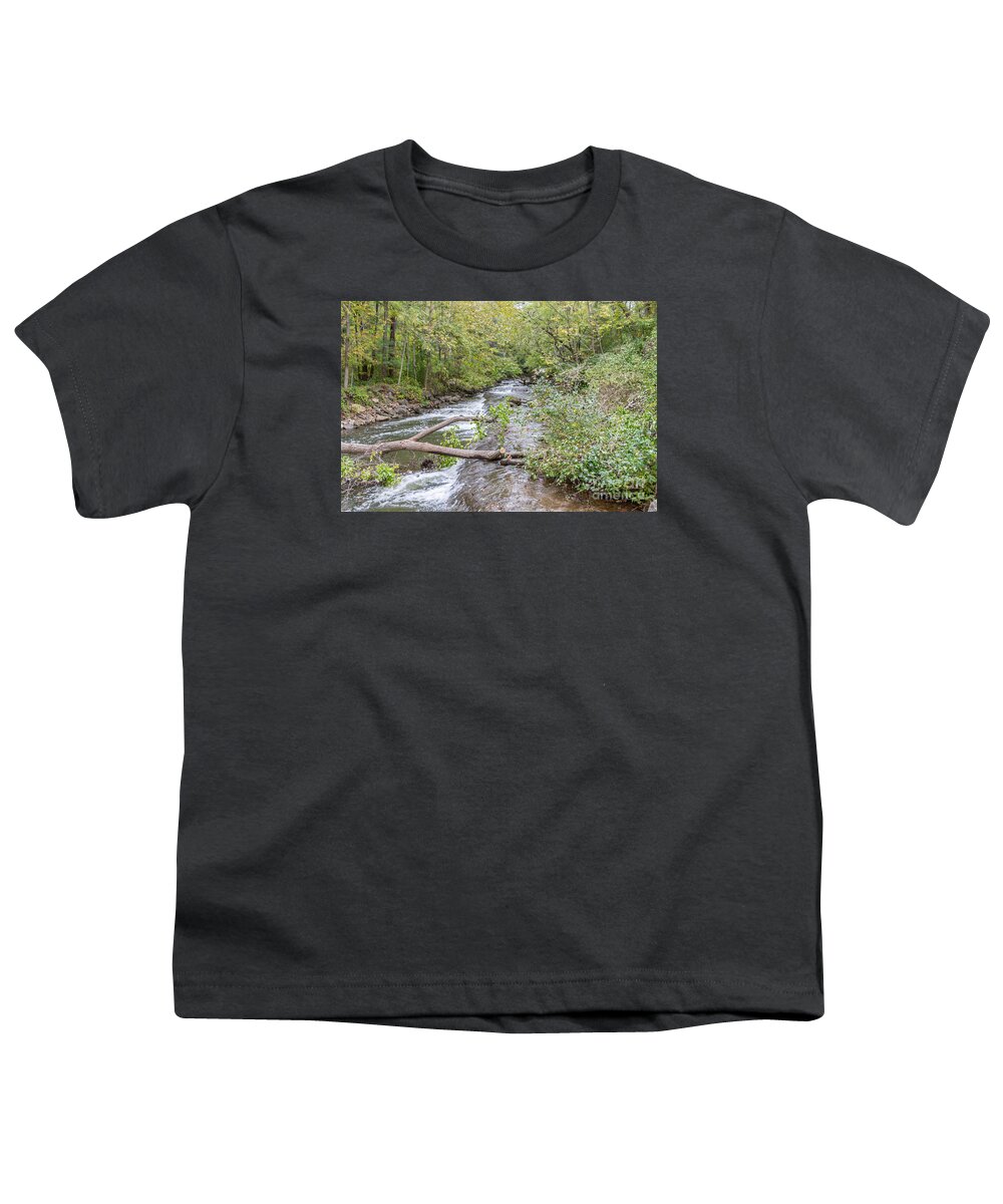 Philbrick Park Youth T-Shirt featuring the photograph Philbrick Park by William Norton