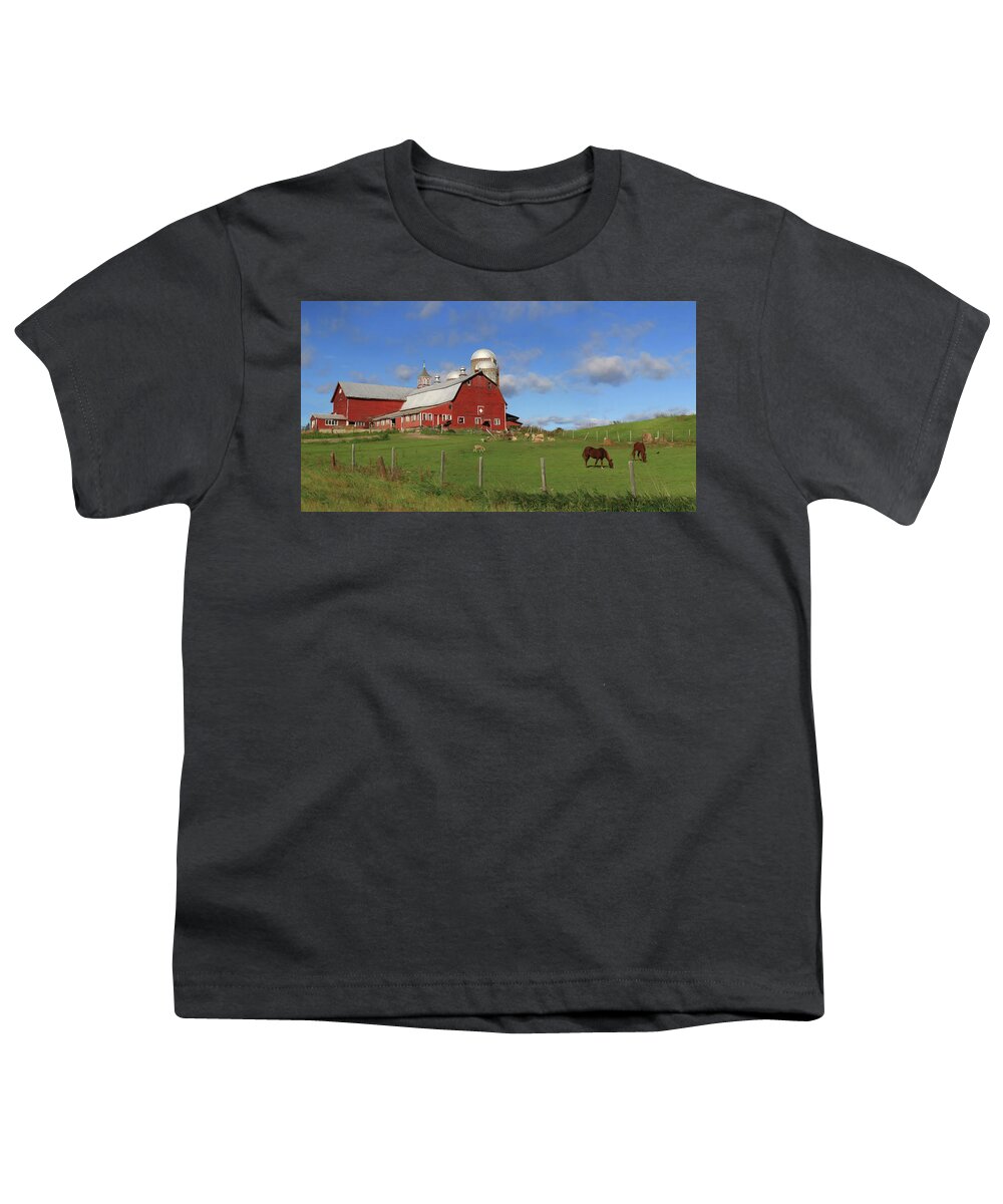 Barn Youth T-Shirt featuring the photograph Picture Perfect Day by Lori Deiter