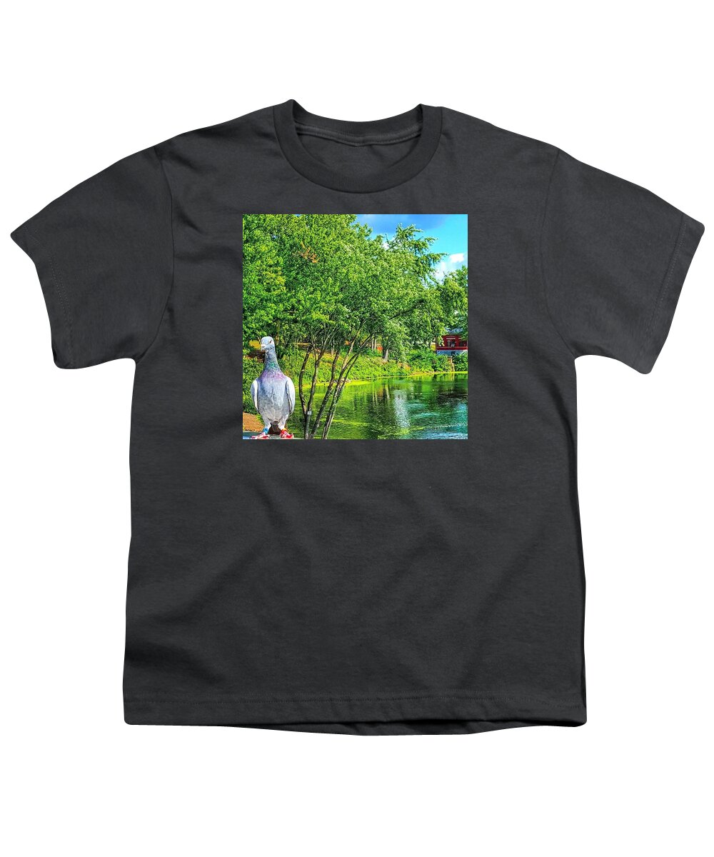 Skyscape Youth T-Shirt featuring the photograph Pidgeon Photo Bomb by Lauren Fitzpatrick