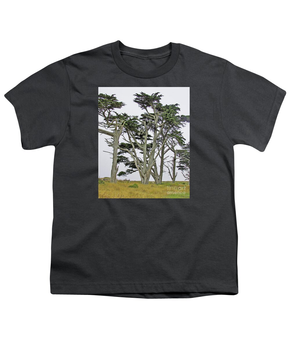 Nature Youth T-Shirt featuring the photograph Pierce Pt. Study by Joyce Creswell