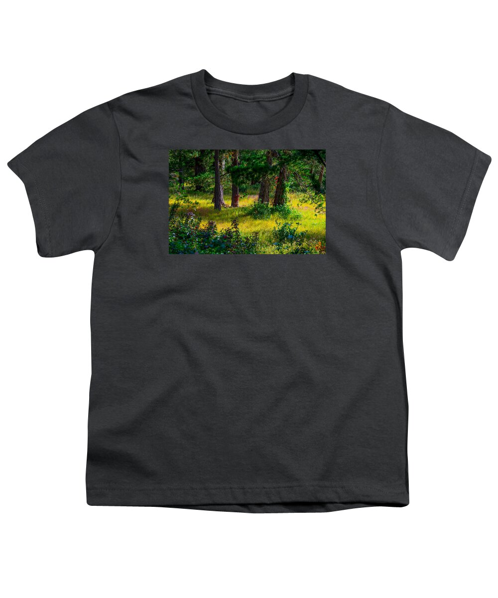 Monterey Youth T-Shirt featuring the photograph Pine Forest by Derek Dean