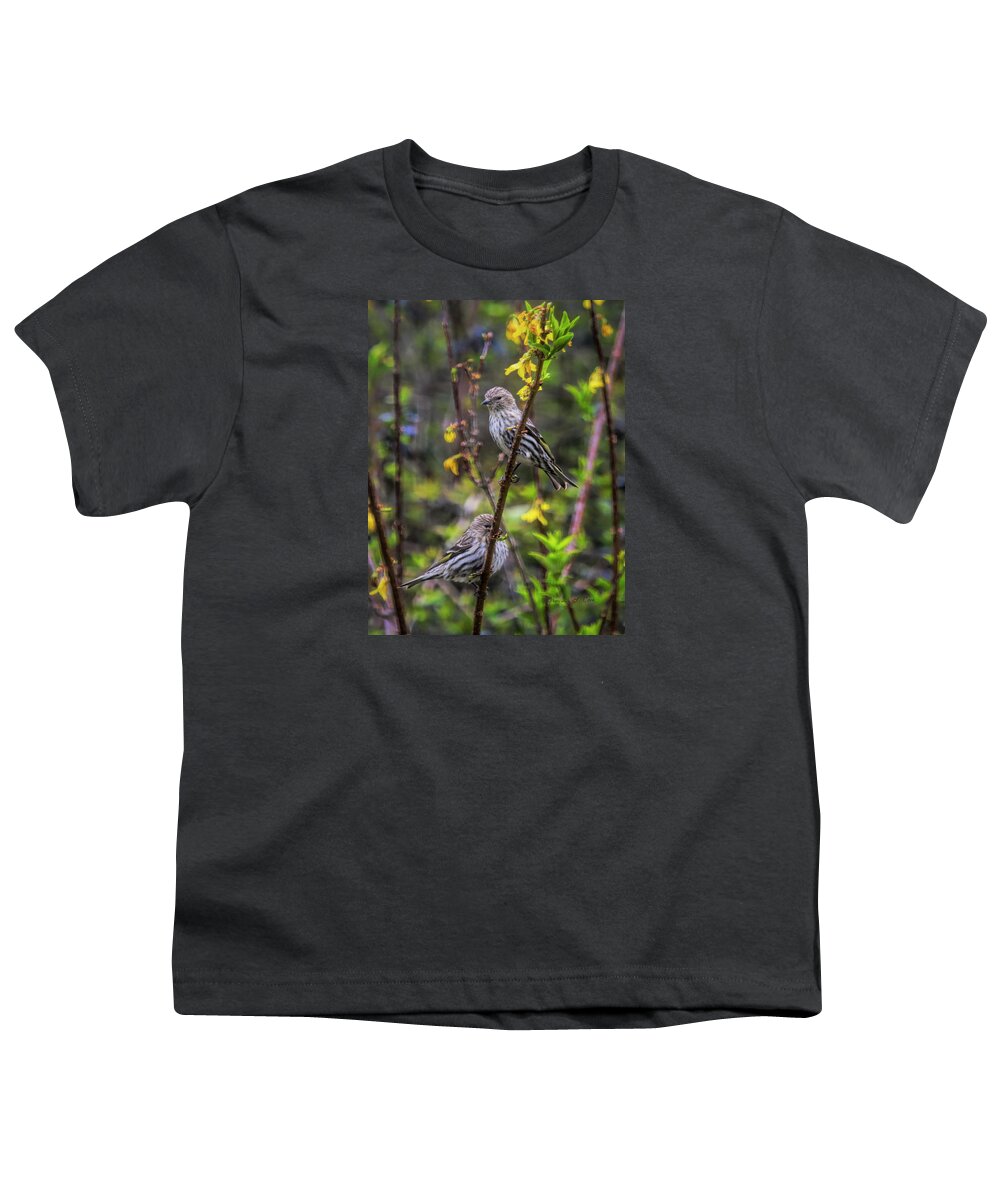 Pine Siskin Youth T-Shirt featuring the photograph Pine Siskin In SOuth Carolina by Bellesouth Studio
