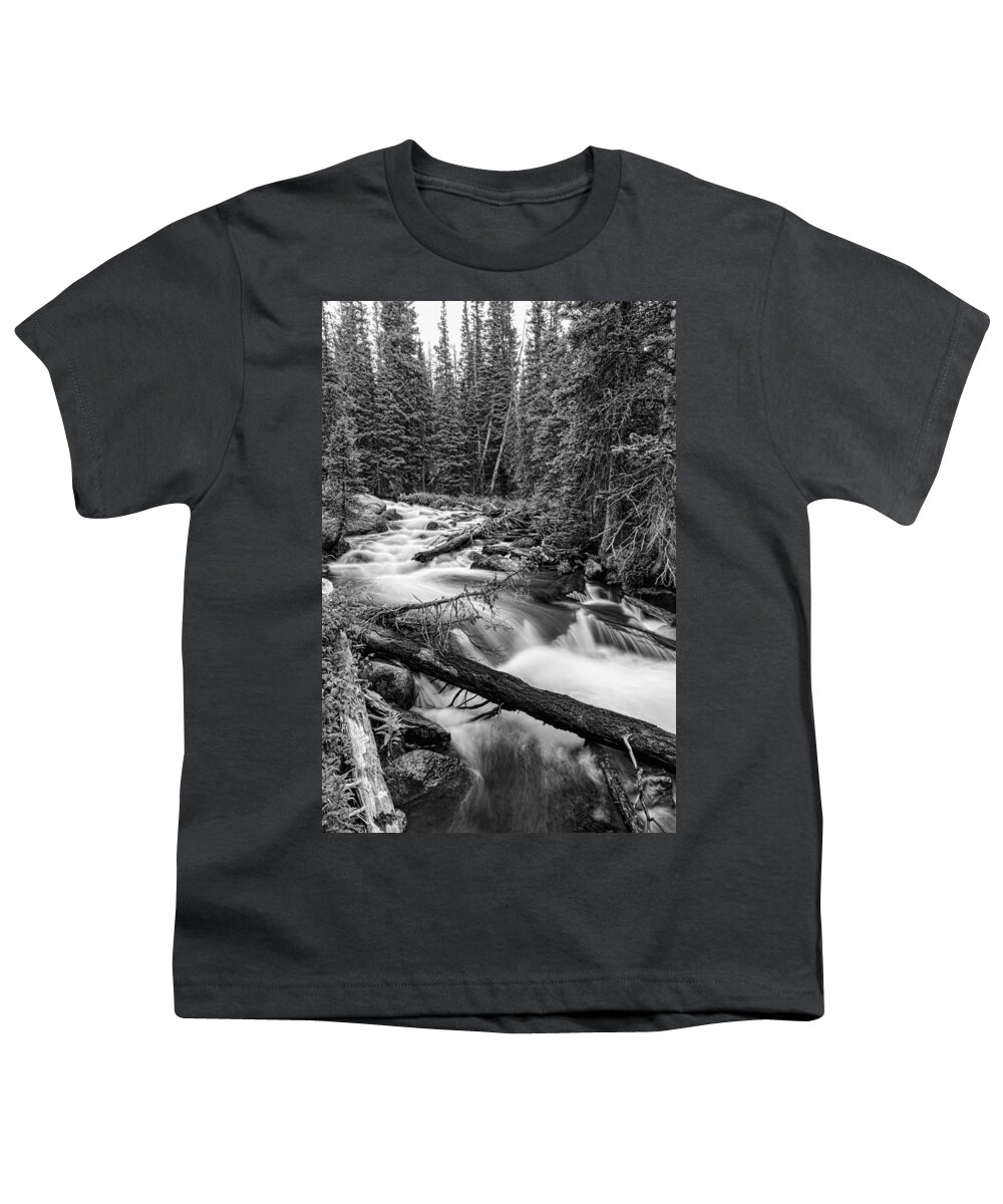 Rocky Youth T-Shirt featuring the photograph Pine Tree Forest Creek Portrait In Black and White by James BO Insogna