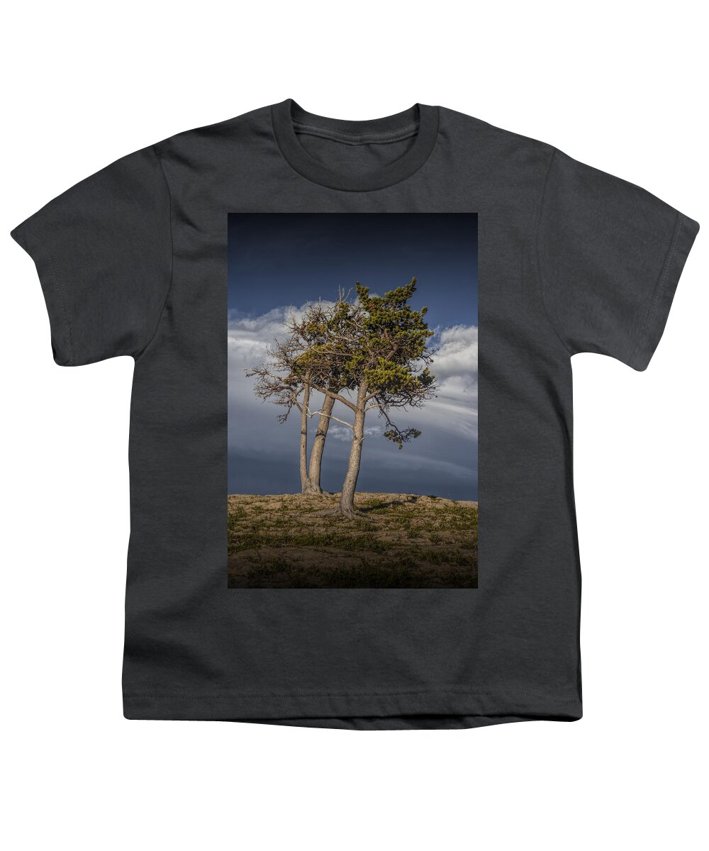 Art Youth T-Shirt featuring the photograph Pine Trees on Glacier Park Rocky Ridge by Randall Nyhof