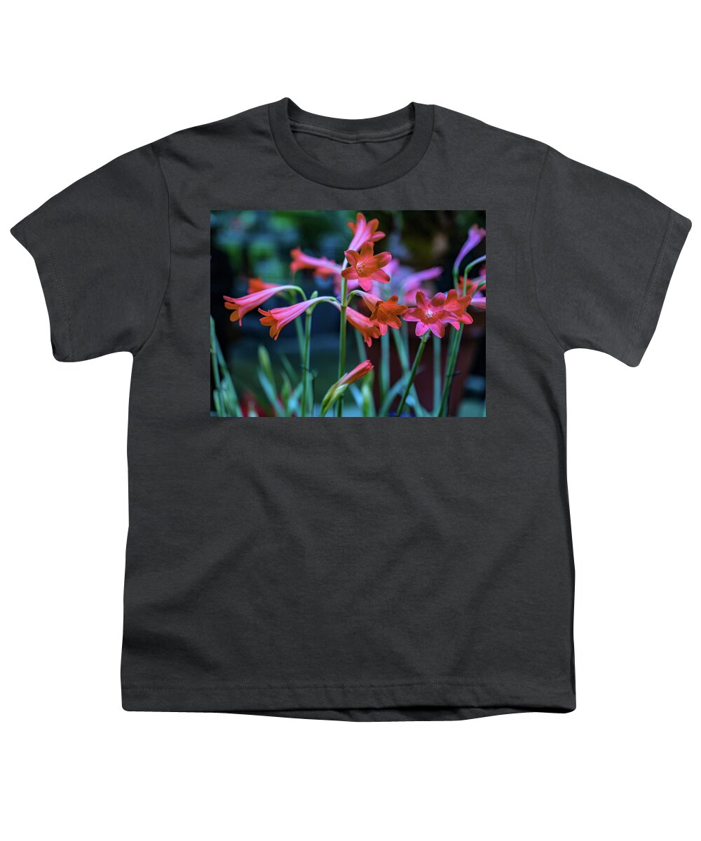 Flower Show 2018 Youth T-Shirt featuring the photograph Pink Flowers by Louis Dallara