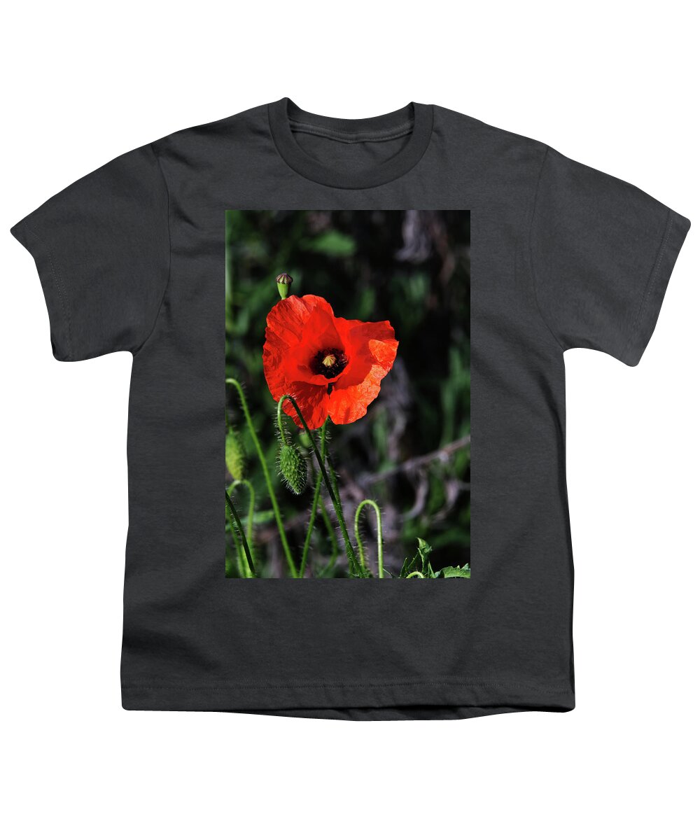 Poppy Youth T-Shirt featuring the photograph Poppy story by Chris Day