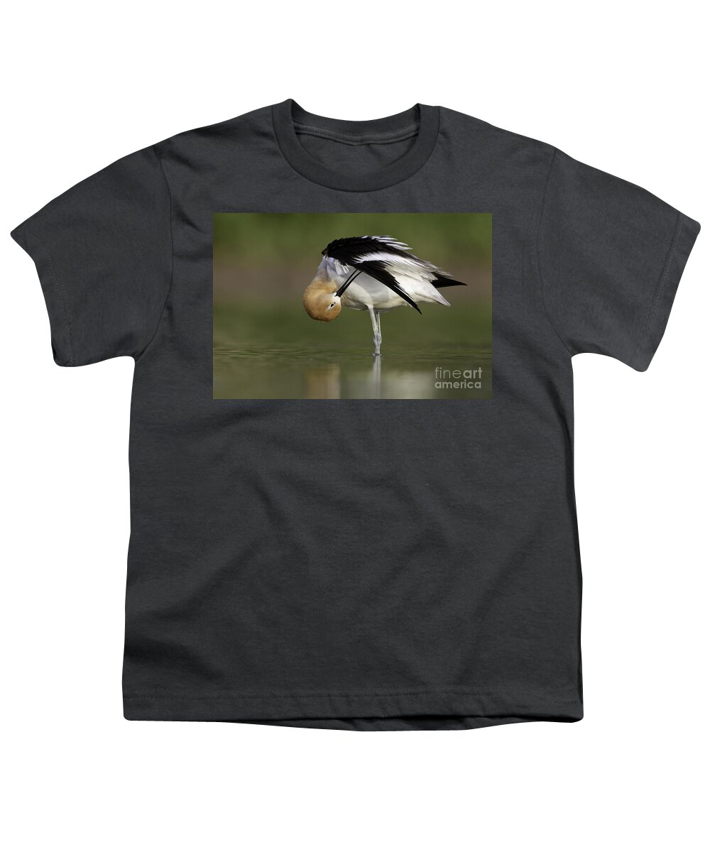 American Avocet Youth T-Shirt featuring the photograph Preening Avocet by Bryan Keil