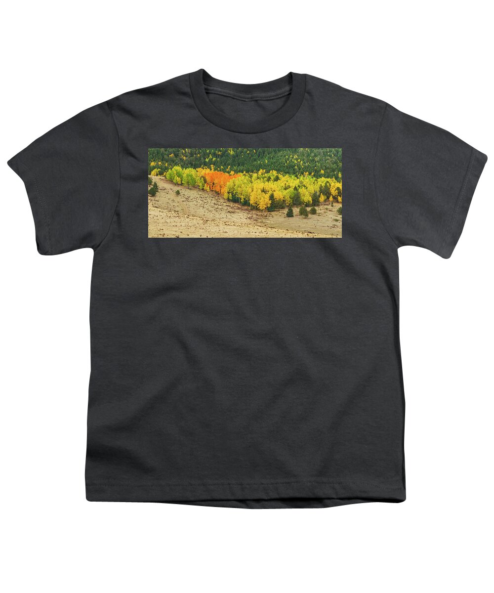 Fall Colors Youth T-Shirt featuring the photograph Preserving Our Natural Heritage, The Fulcrum Of Our Community by Bijan Pirnia
