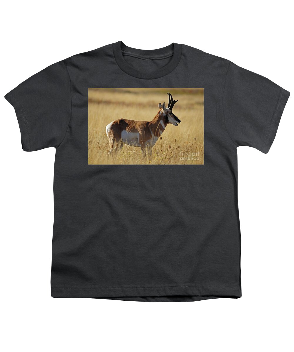 Pronghorn Youth T-Shirt featuring the photograph Pronghorn Antelope by Cindy Murphy - NightVisions