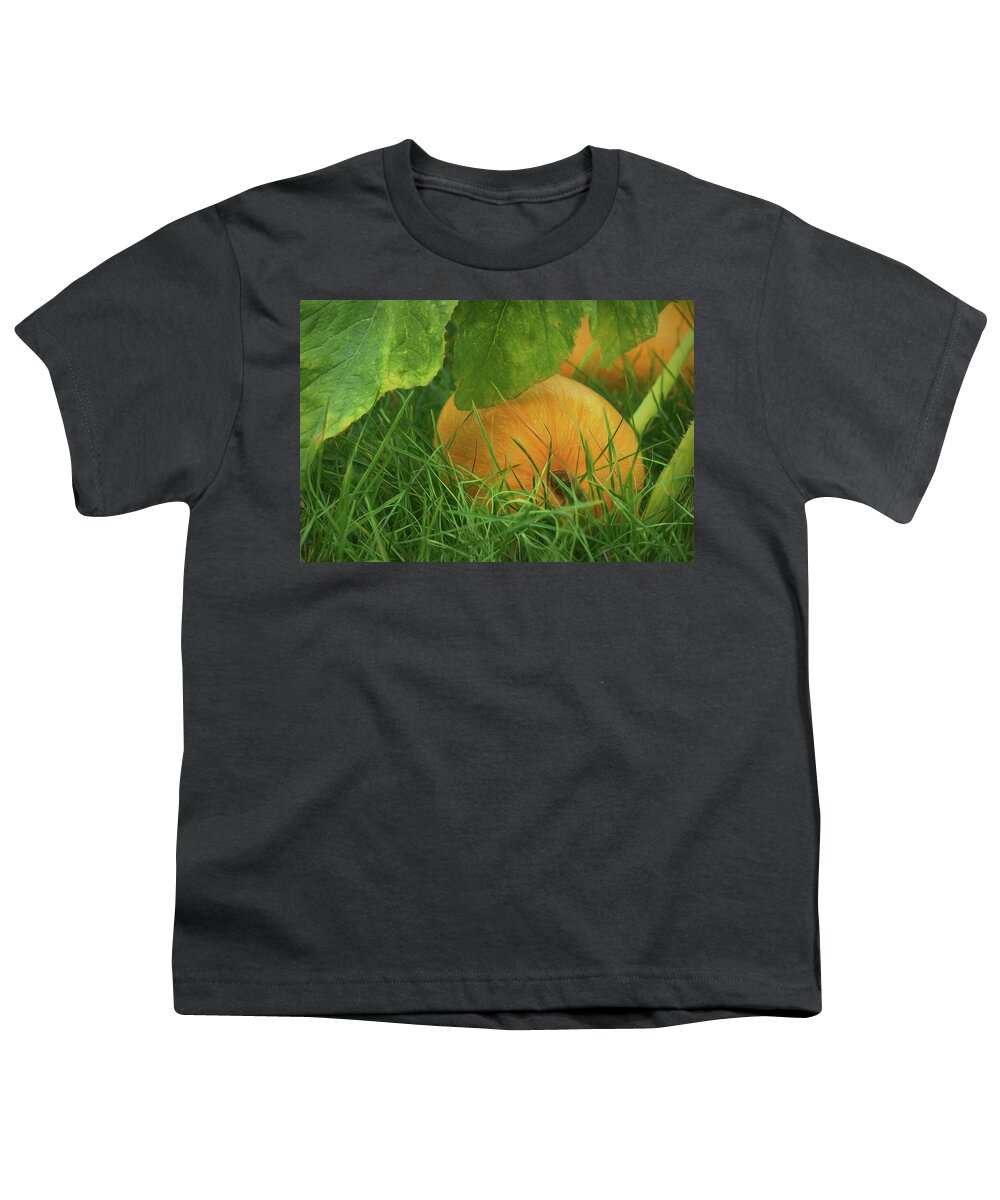 Pumpkin Youth T-Shirt featuring the photograph Pumpkin - Ready for Harvest by Nikolyn McDonald