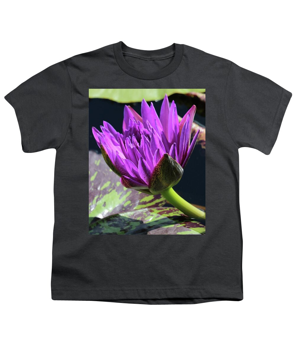 Water Youth T-Shirt featuring the photograph Purple Water Lily by Harold Rau