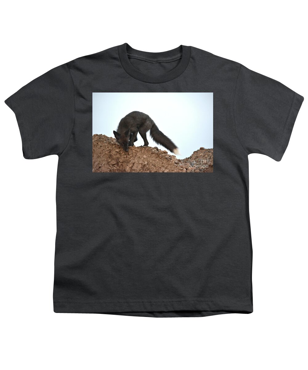 Fox Youth T-Shirt featuring the photograph Ready To Pounce by Vivian Martin