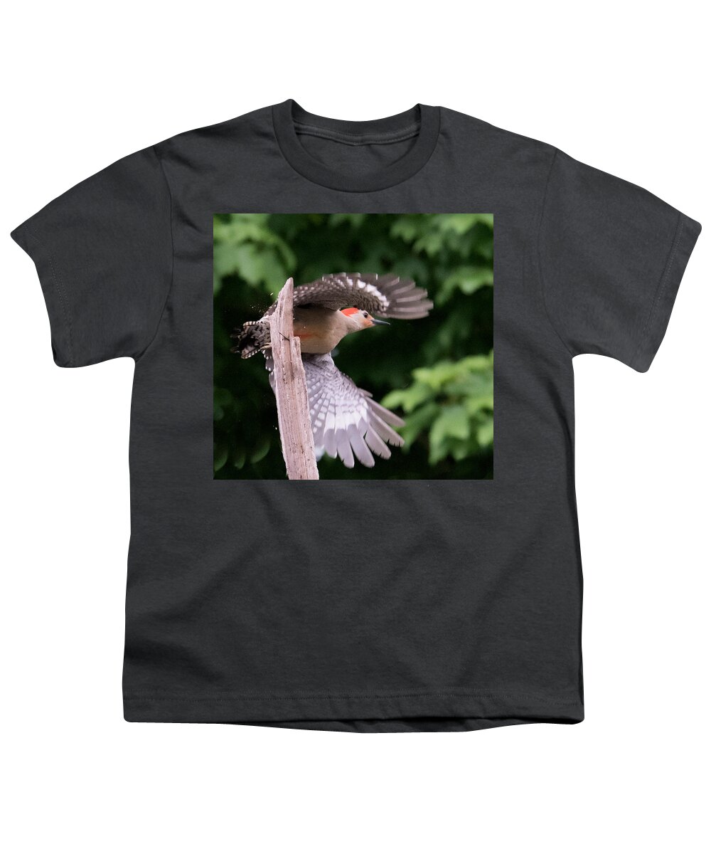Nature Youth T-Shirt featuring the photograph Red Belly Woodpecker by Michael Hall