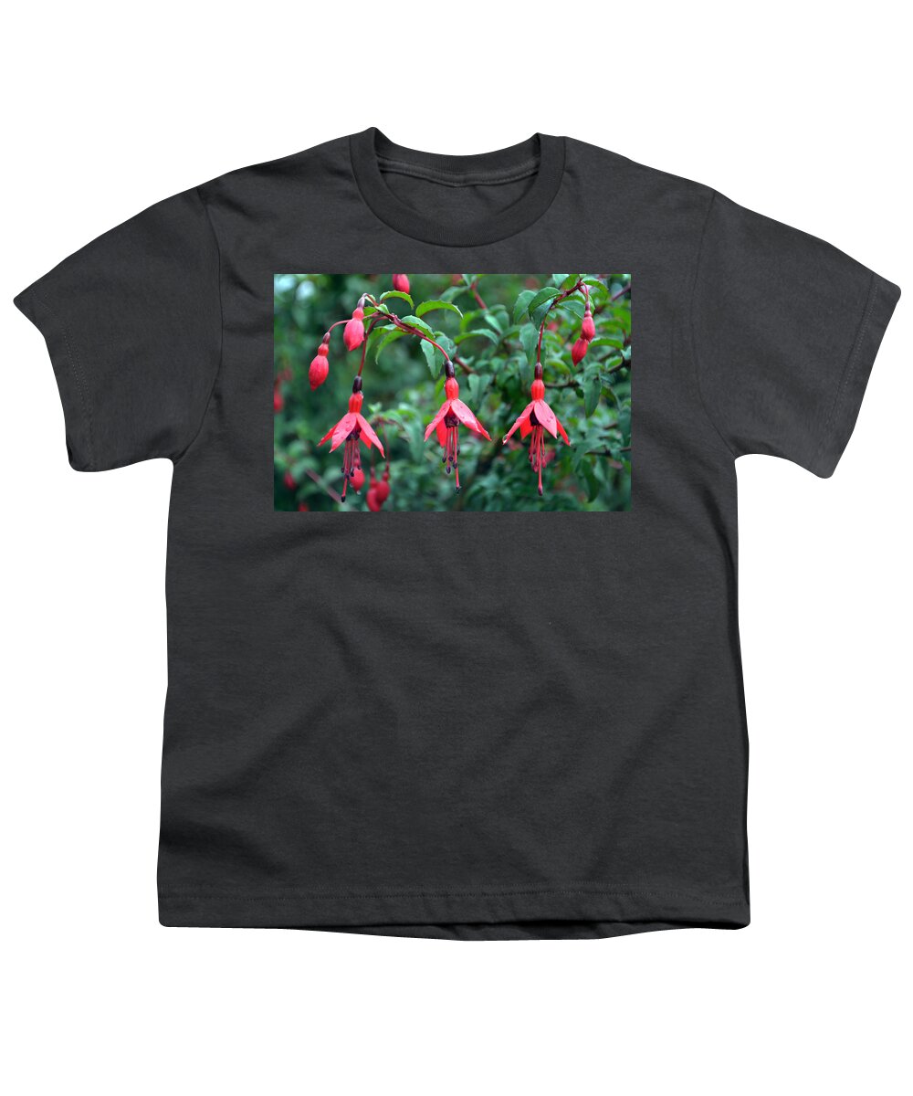 Fuschia Youth T-Shirt featuring the photograph Red Fuschia Trio. by Terence Davis
