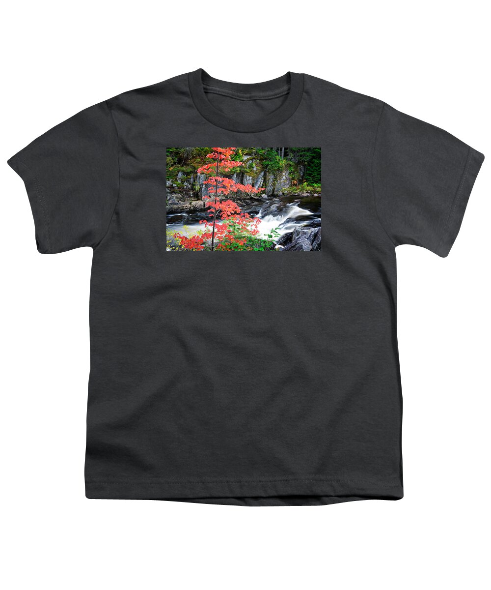 Gulf Hagas Rim Trail Maine Youth T-Shirt featuring the photograph Red Maple Gulf Hagas Me. by Michael Hubley