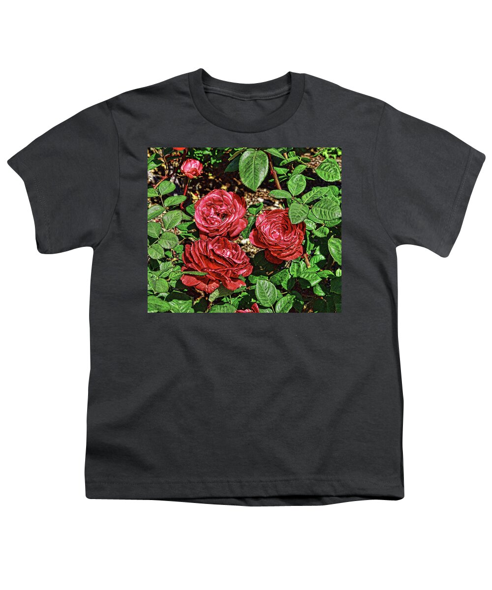 Linda Brody Youth T-Shirt featuring the digital art Red Roses Abstract 1 by Linda Brody