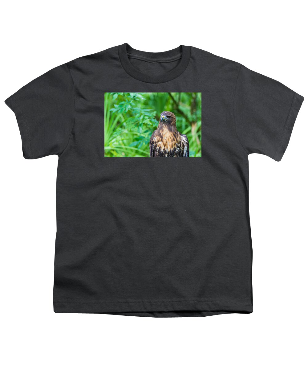 Red Tail Youth T-Shirt featuring the photograph Red Tail Hawk Macro by Shannon Harrington