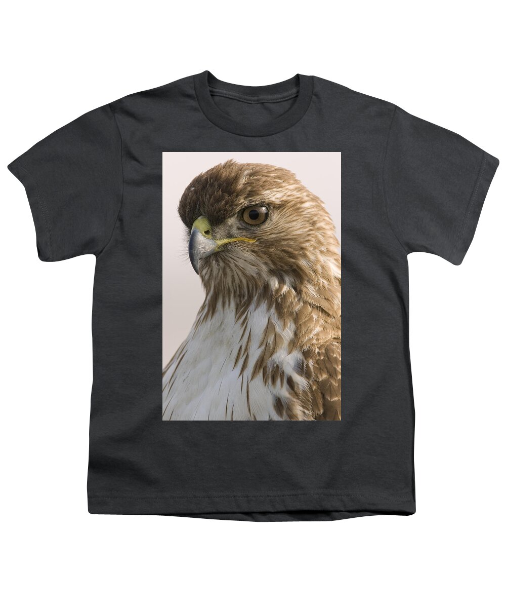00429669 Youth T-Shirt featuring the photograph Red Tailed Hawk Juvenile Stevens Creek by Sebastian Kennerknecht