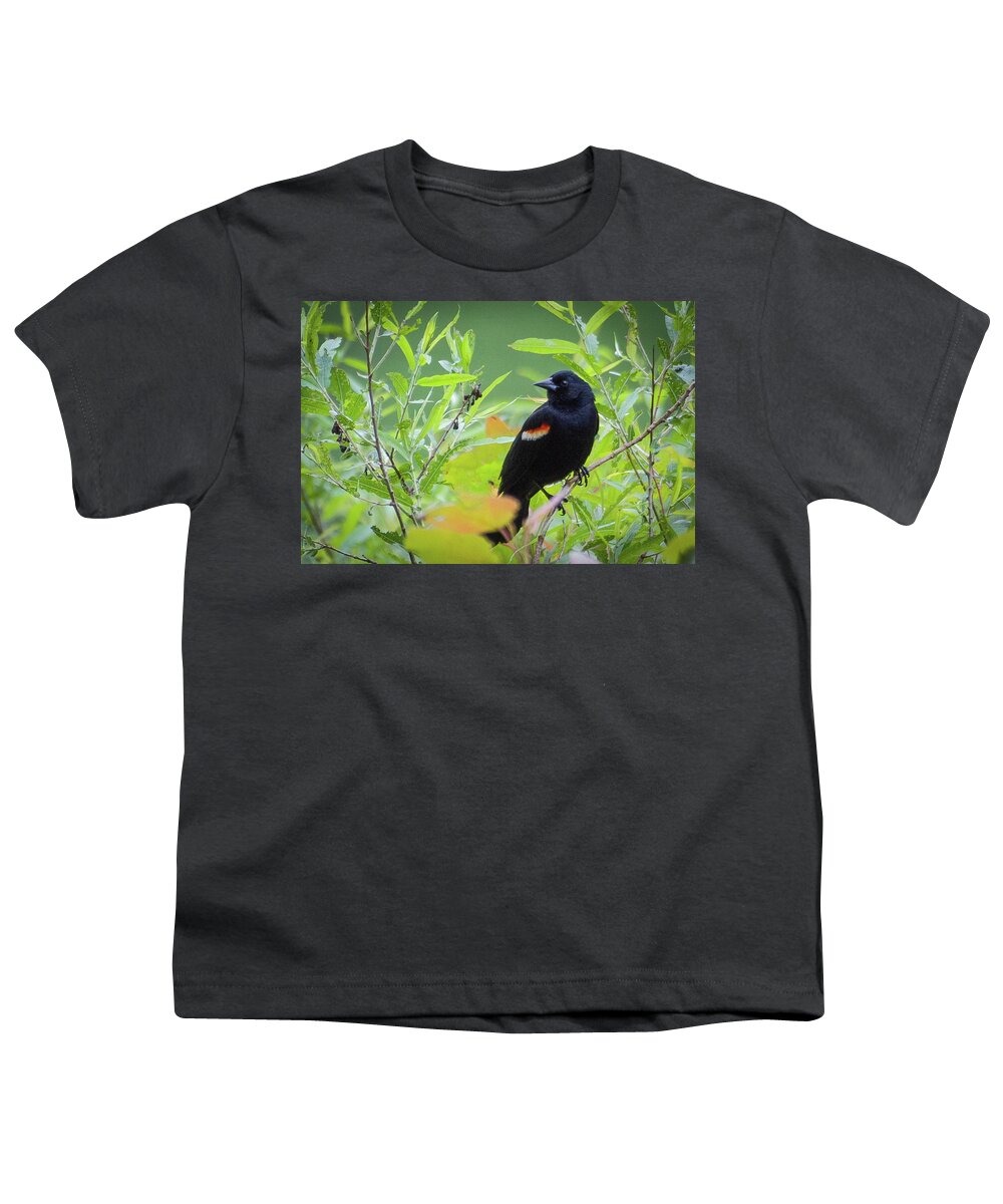 Dunbar Cave State Park Youth T-Shirt featuring the photograph Red Wing In The Marsh by John Benedict