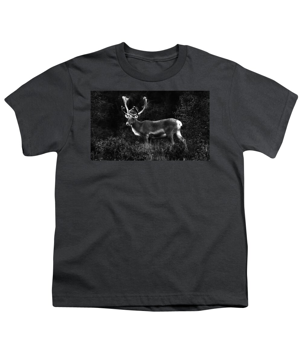 Reindeer Youth T-Shirt featuring the photograph Reindeer reindeer burning bright in the forests of the night by Pekka Sammallahti