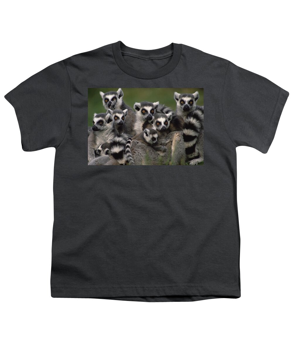 Mp Youth T-Shirt featuring the photograph Ring-tailed Lemur Lemur Catta Group by Gerry Ellis