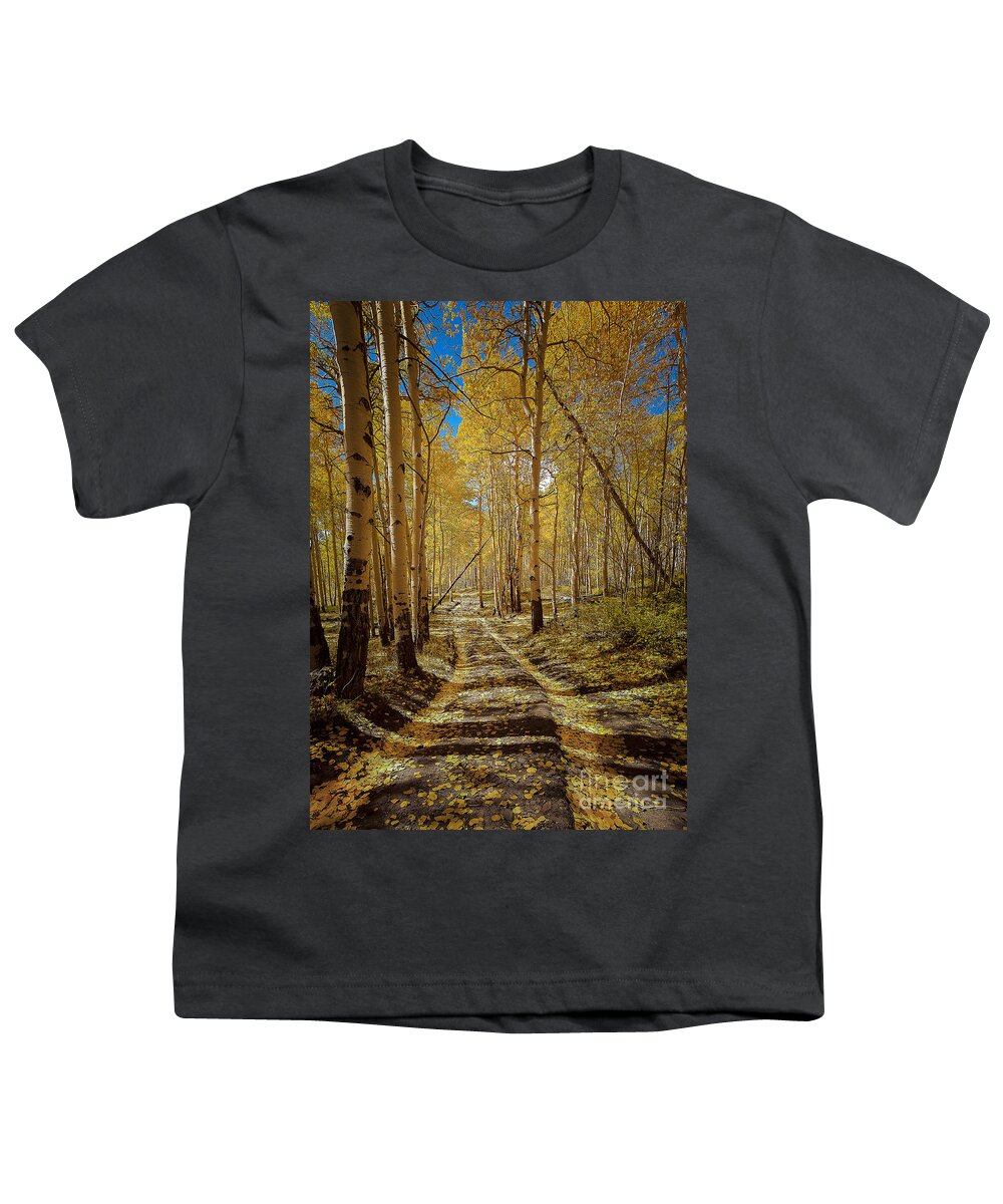 Nature Youth T-Shirt featuring the photograph Road to Gold in Colorado by Steven Reed