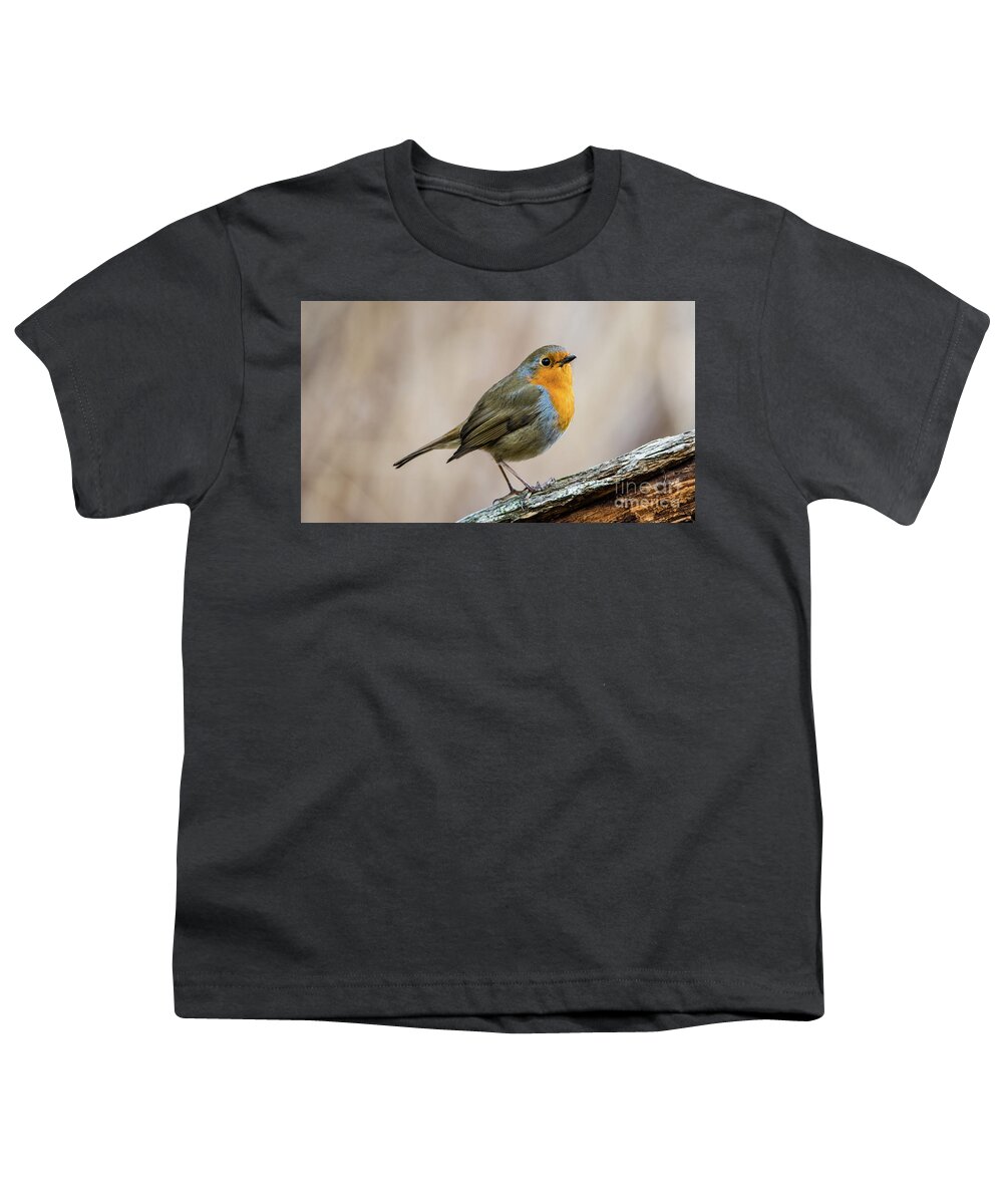 Robin In Spring Youth T-Shirt featuring the photograph Robin in spring by Torbjorn Swenelius