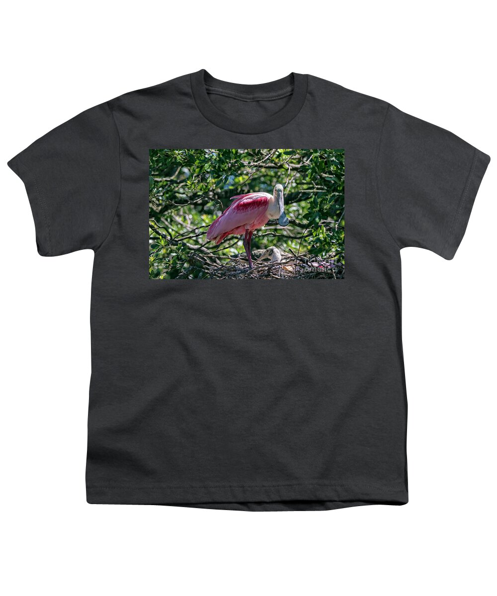 Birds Youth T-Shirt featuring the photograph Roseate Spoonbill and Chick by DB Hayes