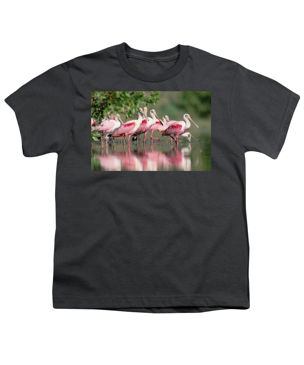 00171421 Youth T-Shirt featuring the photograph Roseate Spoonbill Flock Wading In Pond by Tim Fitzharris